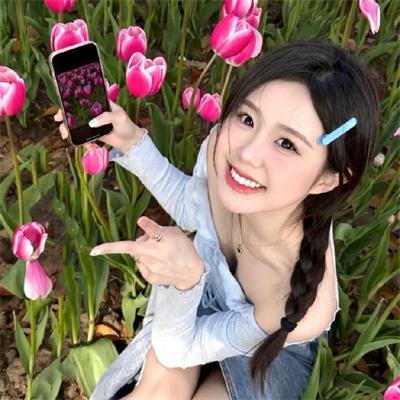 盗贼生涯